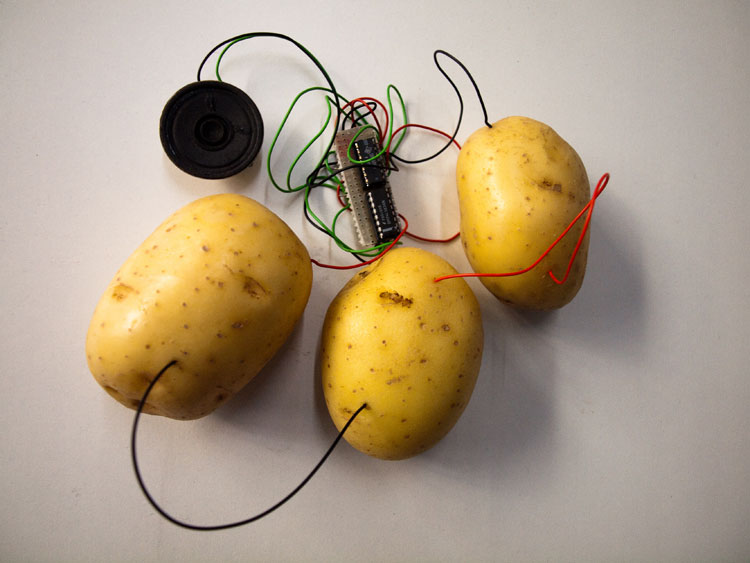 Image for Connected Potatoes