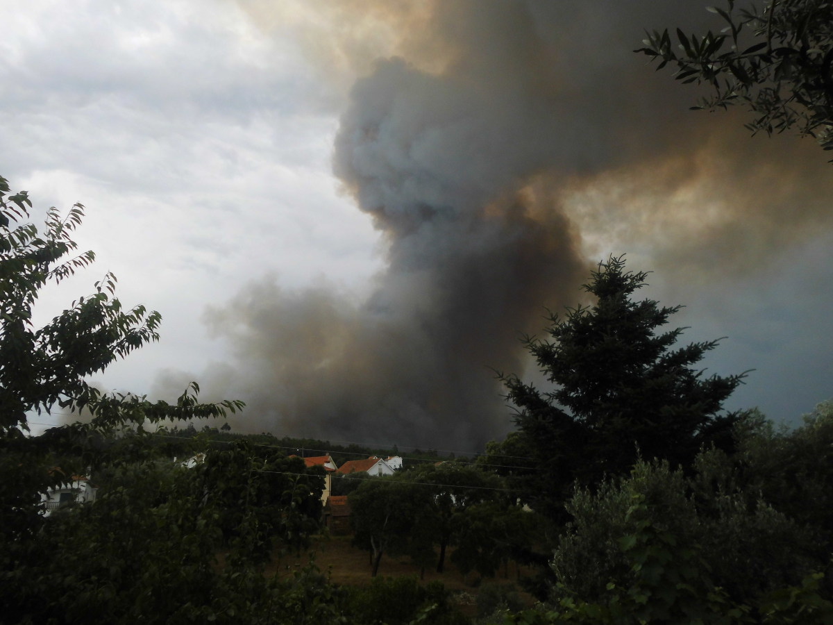 Image for Waldbrände in Portugal 2017 - A vida continua