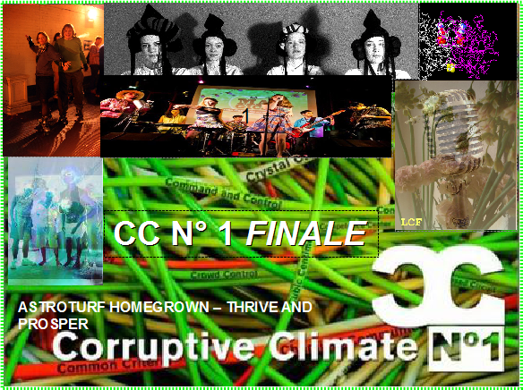 Image for CC N° 1 Astroturf Homegrown Thrive and Prosper