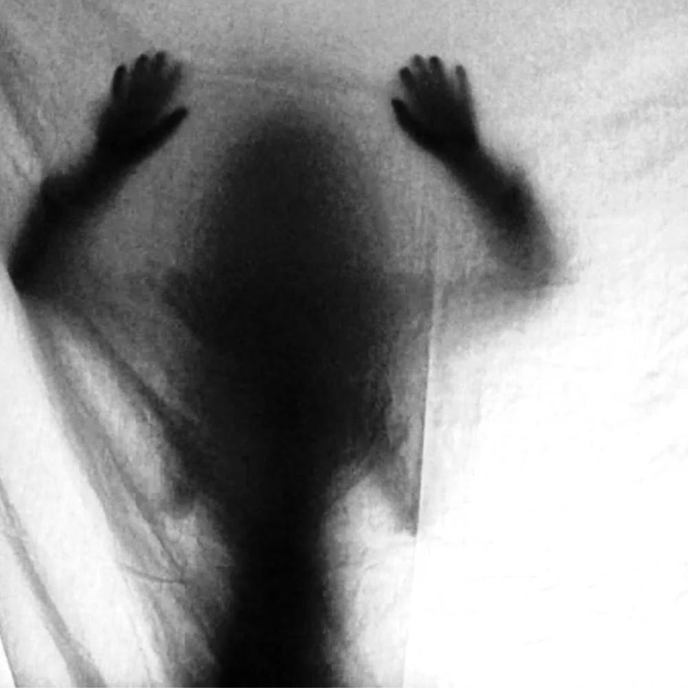 A shadowy silhouette of a child is seen through a thin, white fabric, creating a haunting and eerie effect. The figure’s form is obscured, with only vague details visible. They appear to be pressing against the fabric with both hands spread wide, fingers splayed out, as though trying to push through the material. The shadowy outline lacks clear facial features or distinct details, giving an impression of anonymity and mystery. The high contrast between the dark shadow and the light fabric enhances the ominous, ghost-like quality of the image.